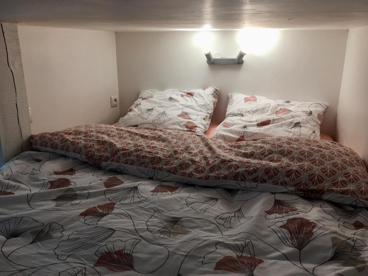 Apartament Le Jungle Studio Rouen Zewnętrze zdjęcie